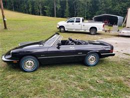 1986 Alfa Romeo Spider (CC-1523690) for sale in Cadillac, Michigan