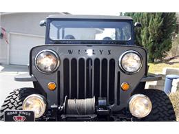 1954 Willys CJ-3B (CC-1520542) for sale in San Marcos, California