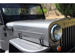 1954 Willys CJ-3B (CC-1520542) for sale in San Marcos, California