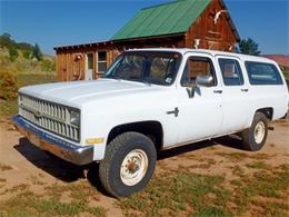 1982 Chevrolet Suburban (CC-1525974) for sale in Cadillac, Michigan