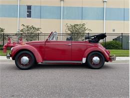 1971 Volkswagen Beetle (CC-1526340) for sale in Clearwater, Florida