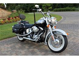 2003 Harley-Davidson FLSTCI (CC-1526401) for sale in Conroe, Texas