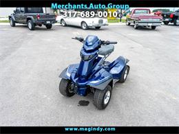 2021 Miscellaneous Golf Cart (CC-1527176) for sale in Cicero, Indiana