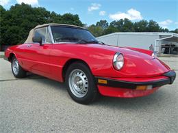 1985 Alfa Romeo Graduate (CC-1520758) for sale in JEFFERSON, Wisconsin