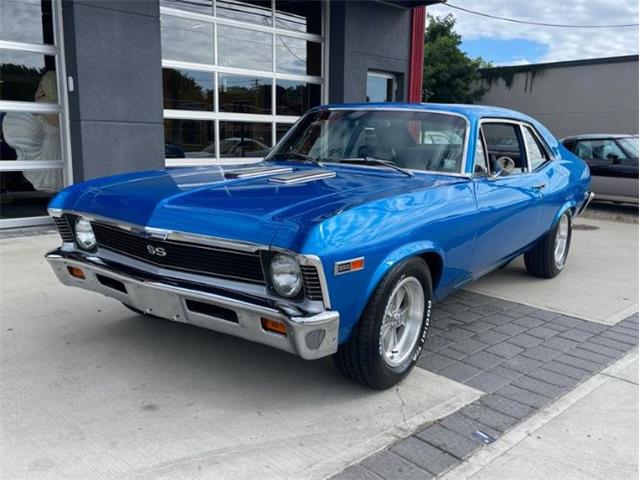 1969 Chevrolet Nova (CC-1528137) for sale in Cadillac, Michigan