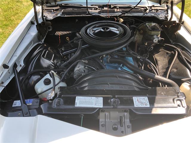 1981 Chevrolet Camaro Z28 for Sale | ClassicCars.com | CC-1528217