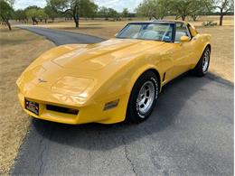 1980 Chevrolet Corvette (CC-1529701) for sale in Fredericksburg, Texas