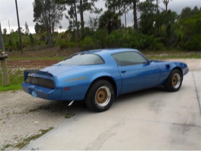 1979 Pontiac Firebird Trans Am for Sale | ClassicCars.com | CC-1531554