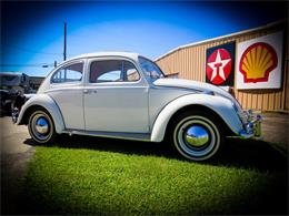 1964 Volkswagen Beetle (CC-1532723) for sale in Leeds, Alabama