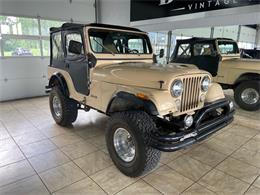 1980 Jeep CJ5 (CC-1533068) for sale in St. Charles, Illinois