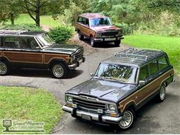 1986 Jeep Grand Wagoneer (CC-1533518) for sale in Bemus Point , New York