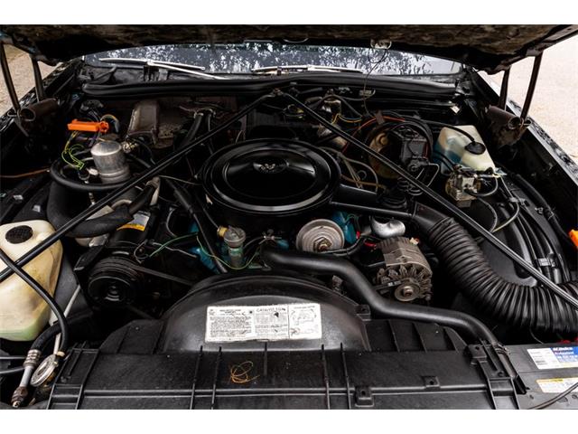 1977 Oldsmobile 98 (CC-1534802) for sale in Orlando, Florida
