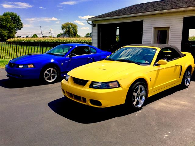 2004 Ford Mustang Svt Cobra For Sale Cc 1534889 3973