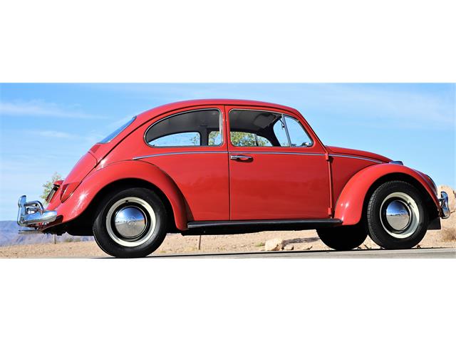 1965 Volkswagen Beetle (CC-1535197) for sale in Boulder City, Nevada