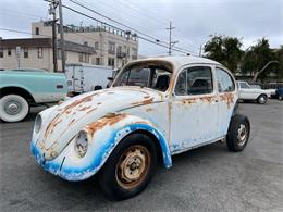 1969 Volkswagen Beetle (CC-1535761) for sale in Monterey, California