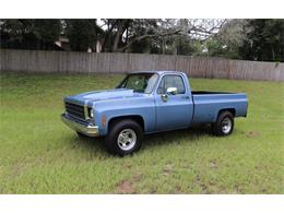 1974 Chevrolet C20 (CC-1536084) for sale in Lakeland, Florida