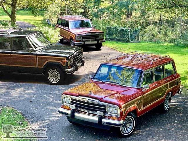 1986 Jeep Grand Wagoneer (CC-1536119) for sale in Bemus Point, New York