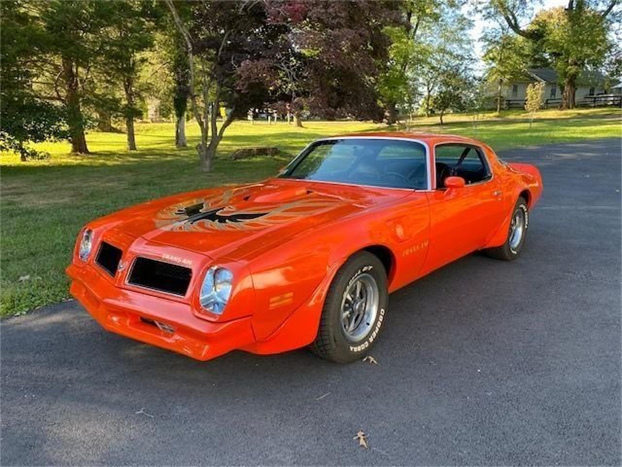 1976 Pontiac Firebird Trans Am for Sale | ClassicCars.com | CC-1536752