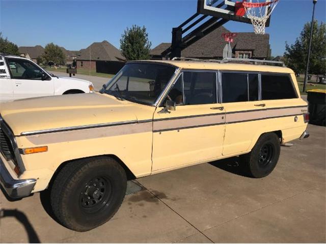 1980 Jeep Wagoneer (CC-1536836) for sale in Cadillac, Michigan