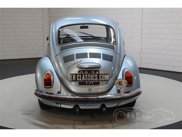 Collection In Action: 1972 VW Beetle 1600L - Franschhoek Motor Museum