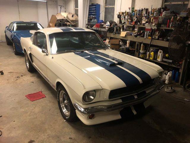 1966 Shelby Mustang (CC-1537968) for sale in Seaford, New York
