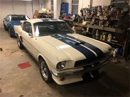 1966 Shelby Mustang (CC-1537968) for sale in Seaford, New York