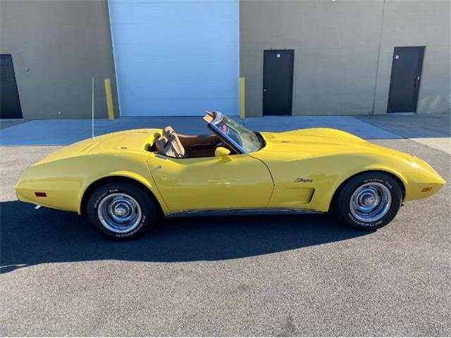 1974 Chevrolet Corvette (CC-1538818) for sale in Cadillac, Michigan