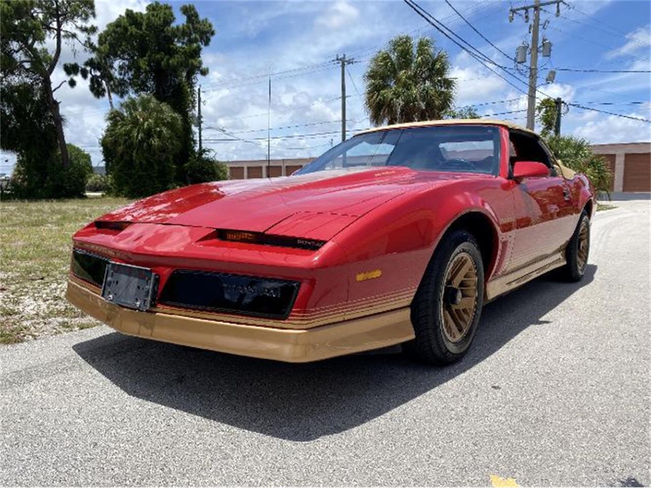 1984 Pontiac Firebird Trans Am for Sale | ClassicCars.com | CC-1541840