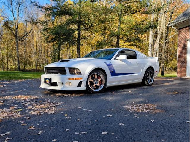 2008 Ford Mustang (CC-1542230) for sale in Punta Gorda, Florida