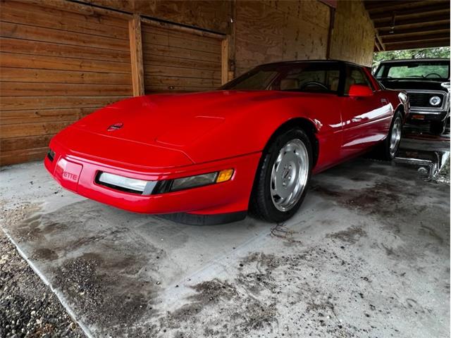 1991 Chevrolet Corvette (CC-1542448) for sale in Punta Gorda, Florida