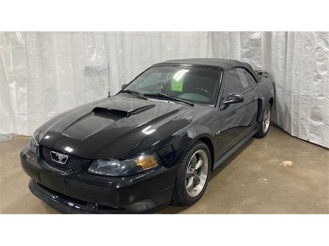 2003 Ford Mustang GT (CC-1542621) for sale in Archbold, Ohio