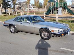 1988 Jaguar XJS (CC-1540283) for sale in Alturas, California