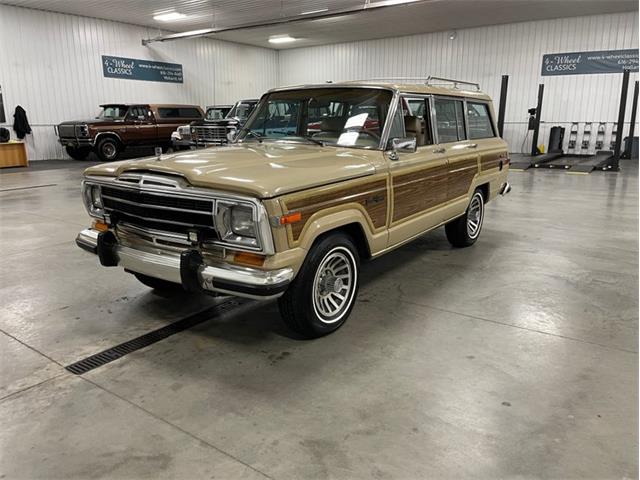 1990 Jeep Grand Wagoneer (CC-1543862) for sale in Holland , Michigan