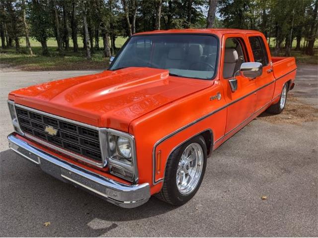 1979 Chevrolet C10 (CC-1545479) for sale in Cadillac, Michigan