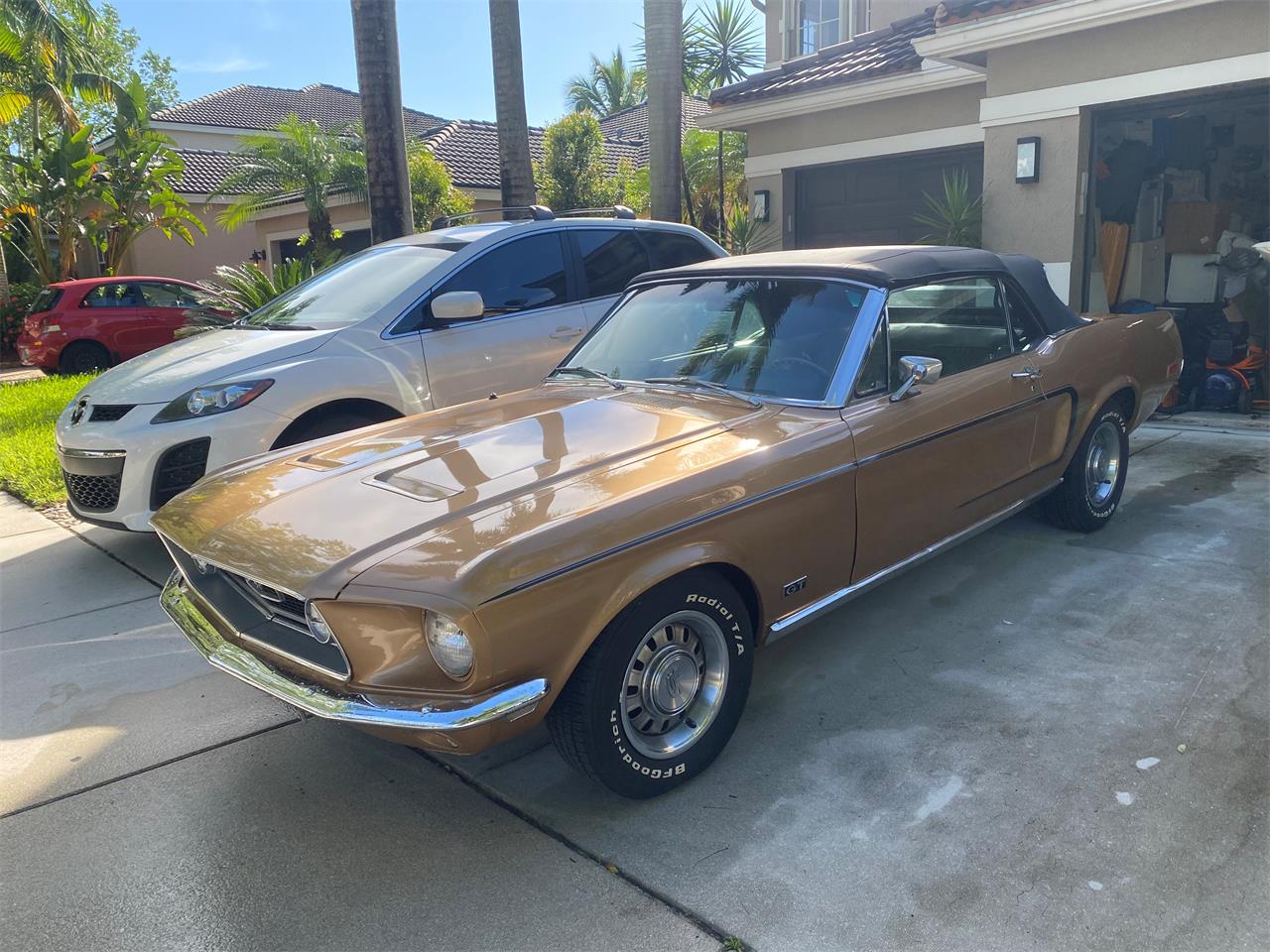 1968 Ford Mustang in WESTON, Florida
