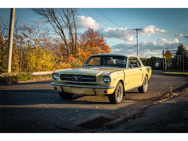 1965 Ford Mustang (CC-1548302) for sale in Stratford, Connecticut