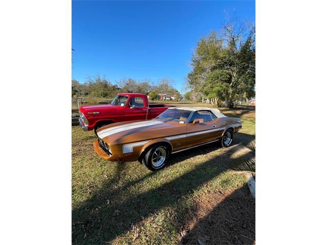 1973 Ford Mustang (CC-1548420) for sale in Punta Gorda, Florida