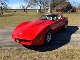 1980 Chevrolet Corvette (CC-1549057) for sale in Fredericksburg, Texas