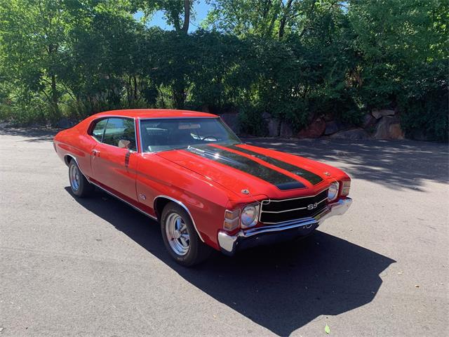 1971 Chevrolet Chevelle SS (CC-1549595) for sale in Annandale, Minnesota