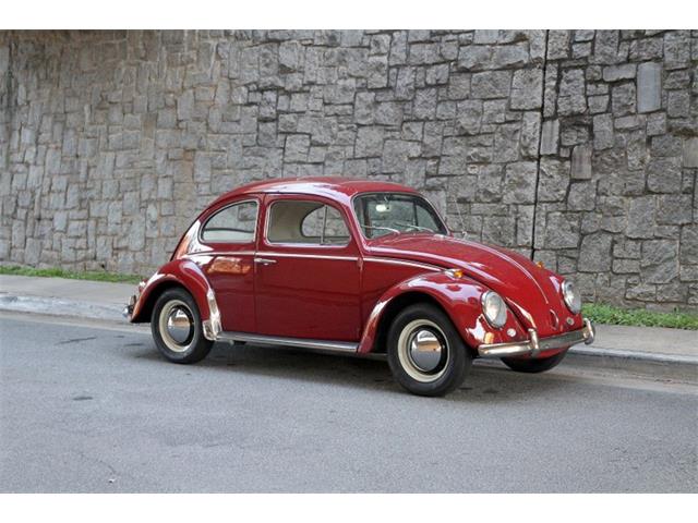 1964 Volkswagen Beetle (CC-1549640) for sale in Atlanta, Georgia