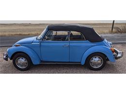 1976 Volkswagen Beetle (CC-1549811) for sale in Cadillac, Michigan