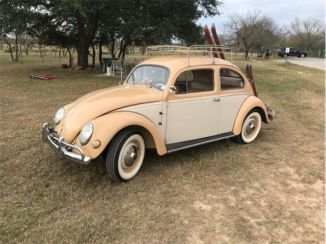 1955 Volkswagen Beetle (CC-1551339) for sale in Fredericksburg, Texas