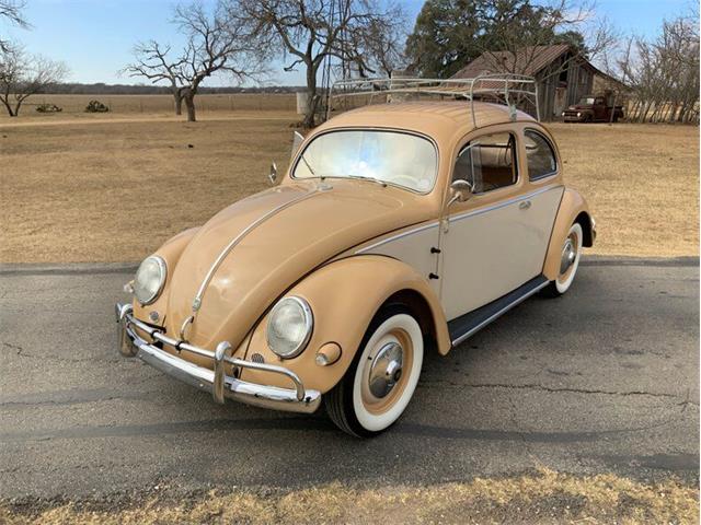 1955 Volkswagen Beetle (CC-1551339) for sale in Fredericksburg, Texas
