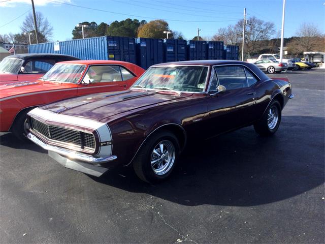 1967 Chevrolet Camaro RS/SS (CC-1552134) for sale in Greenville, North Carolina