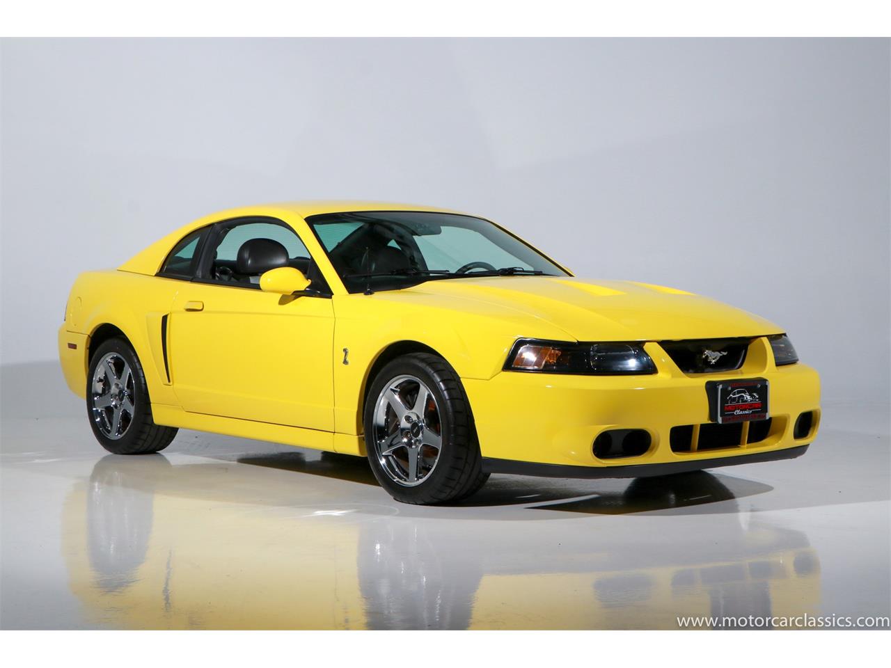 2003 Ford Mustang SVT Cobra for Sale | ClassicCars.com | CC-1552810