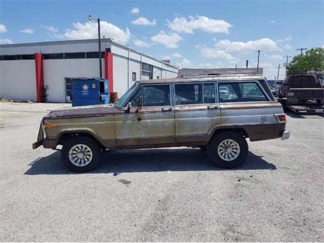 1979 Jeep Wagoneer (CC-1552899) for sale in Cadillac, Michigan