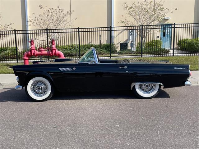 1955 Ford Thunderbird (CC-1550290) for sale in Clearwater, Florida