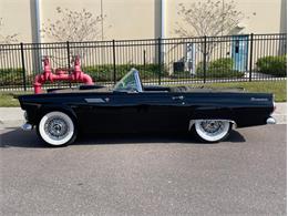 1955 Ford Thunderbird (CC-1550290) for sale in Clearwater, Florida