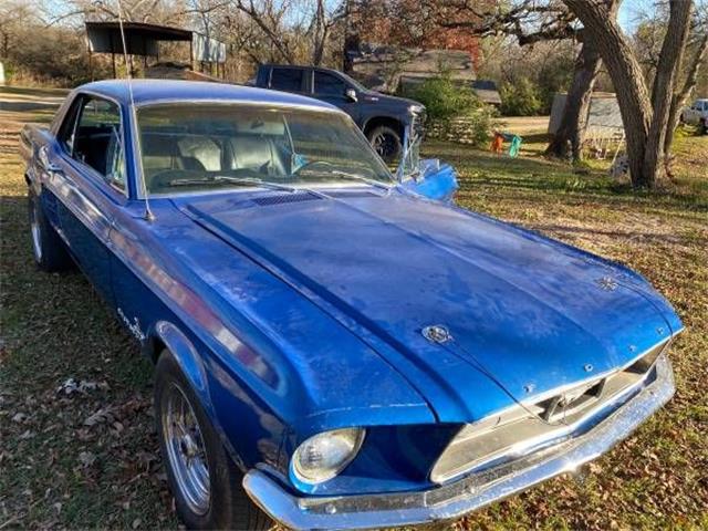 1967 Ford Mustang (CC-1553576) for sale in Cadillac, Michigan