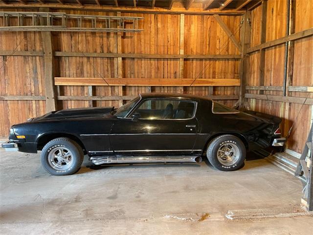 1976 Chevrolet Camaro (CC-1553600) for sale in Washington, Michigan